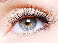 Things you didn’t know! Facts and myths about an eyelash serum!